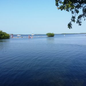 Media '2015-03-26 Pennekamp State Park' in album '2015-02-23 Florida bound'