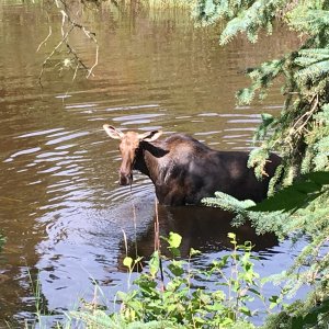 Media '2016-08-18 15.13.54' in album '2016-08-13 19.02.43'