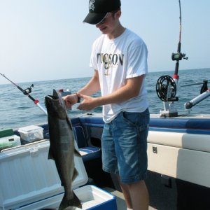 Lake Michigan King, 1 of 9 taken Aug 10, 04 and a steelie too