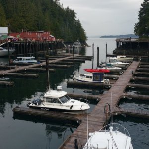 Media 'Telegraph Cove' in album 'Cullen Harbour and Booker passage'