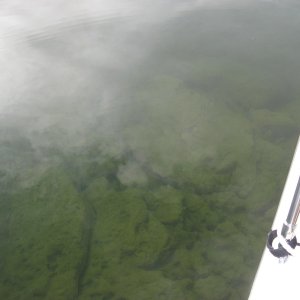 clear water 8 ft deep