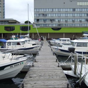 Clearing Customs at Confederation Basin Kingston