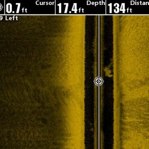 Sidescan of Dun taking a dip