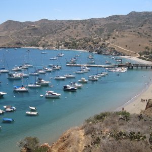 Isthmus Harbor View (C-View)