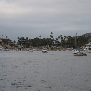 Media 'Heading back to Marina Del Rey (C-View)' in album 'image'