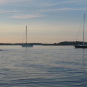 25.) neighbors in Eel Bay (St. Lawrence)
