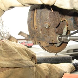 Remove the two caliper bolts.