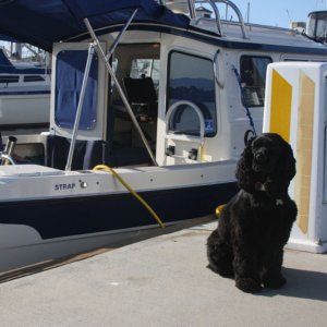 Muffin posing in front of her temporary kennel.