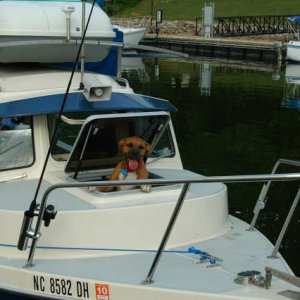 TN River 7-4-08 TWO 373