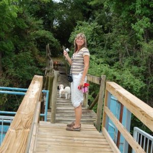 Dock and ramp to the island bird santuary