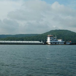 TN River 7-4-08 TWO 206