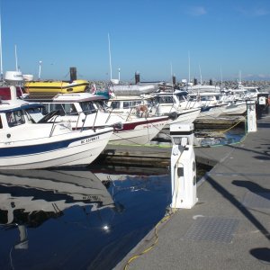 C-Dory's Sidney Gathering.