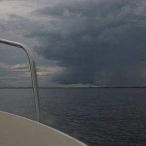 Stormy Summer