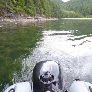 Exploring the shores of Cypress Island