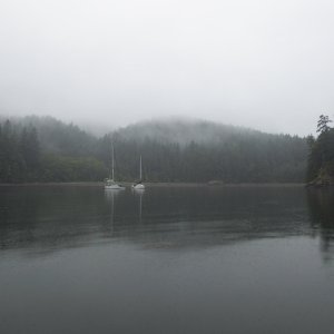 Awoke Sunday morning to heavy mist