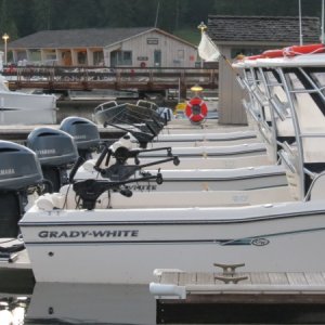 Fishin Machines