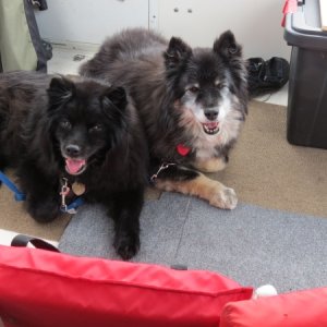 Gabby and Tippy