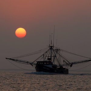 Shrimper at sunset, heading out as we were heading in