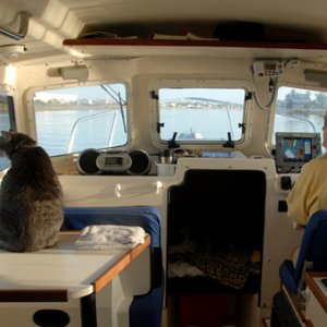 Joan and Molly the cat watching for dolphins