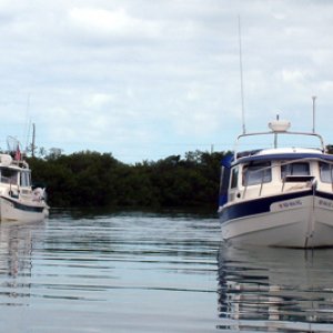 CD25 and TC255 at anchor