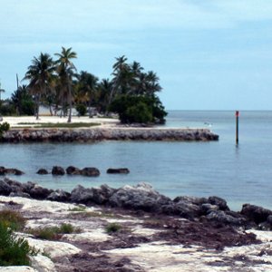 Entrance to cove
