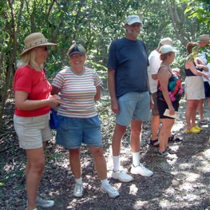 Touring the island