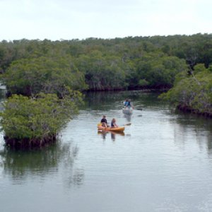 Waterways in Pennekamp - non-motorized.