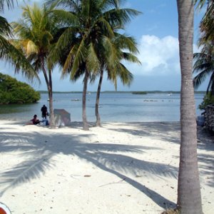 Beach in Pennekamp - pretty tropical!