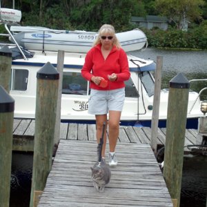 More cat walkin\'