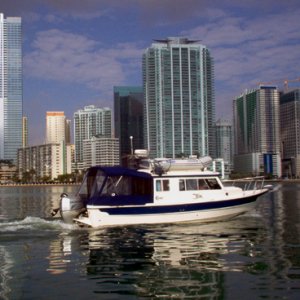 Wild Blue with Miami in the background