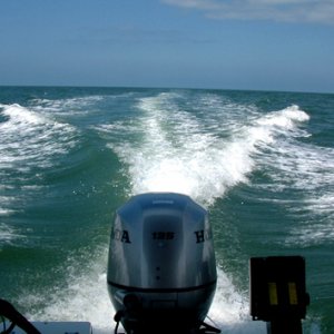Big fun in the Gulf...
