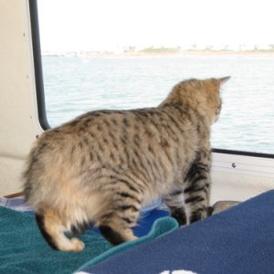 Her first boat ride!