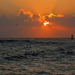 Out the jetties