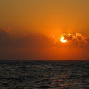 Gulf horizon