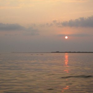 muted sunrise