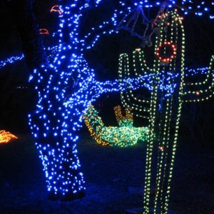 Zoo Lights