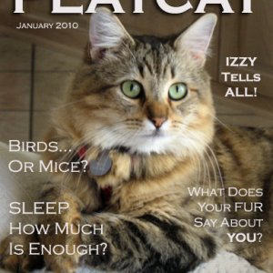 Izzy the covergirl