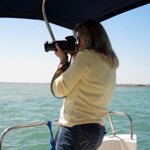 Photographing dolphins