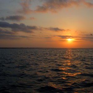 Sunrise 3