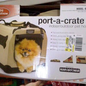 Pet carrier