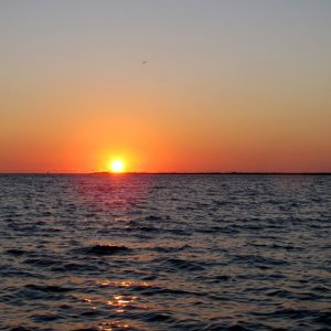 Gulf sunrise 2