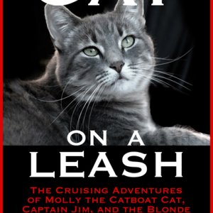 Latest cover design

?2010 James Bathurst