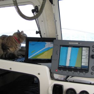 Izzy, iPad, E-80