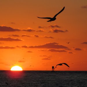 Sunrise