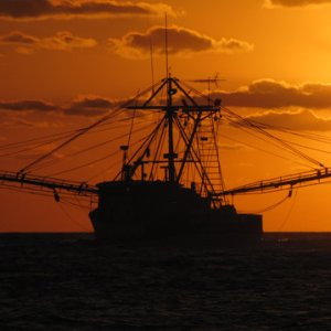Shrimper at sunrise
