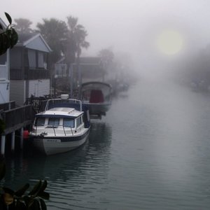 A foggy February morning