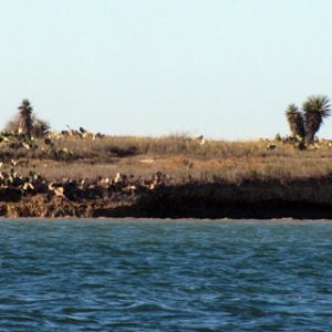 desert landscape