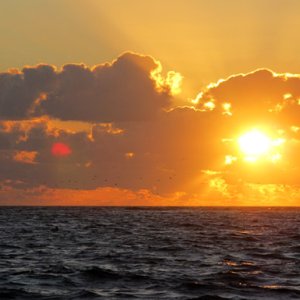 sunrise