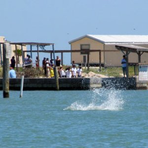 a splash where the dolphins had been a few seconds earlier
