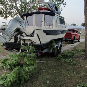 Branches down